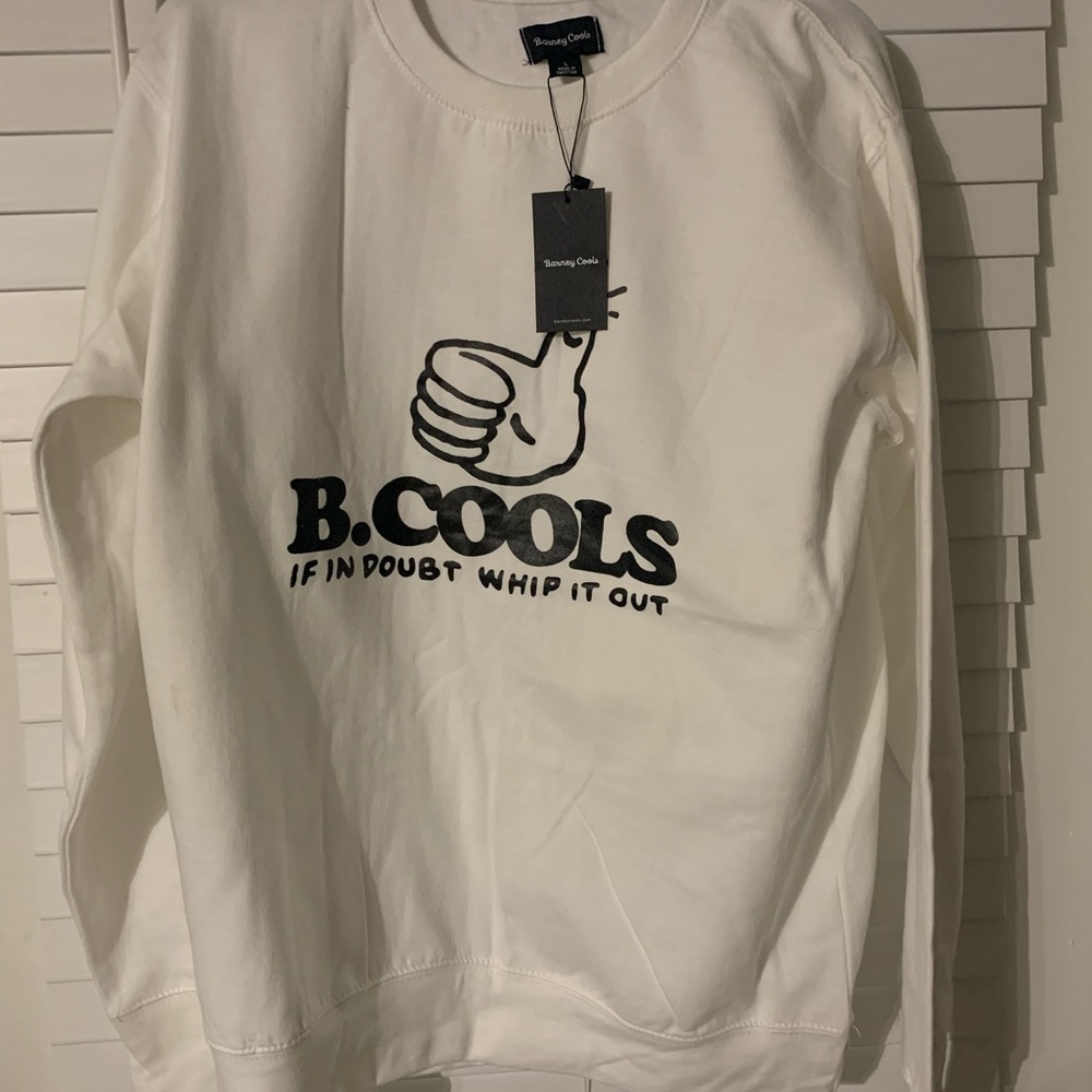 Barney Cools Sweatshirt (Large